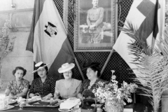 TRABAJO - OBRAS SOCIALES - DIA DE LA BANDERITA