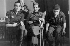 GUERRAS - II GUERRA MUNDIAL - DIVISION AZUL IV