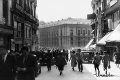 madridalpaso_27