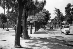 madridalpaso_28