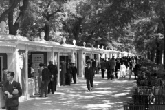 LITERATURA - FERIA DEL LIBRO