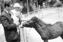Animales-en-el-retiro