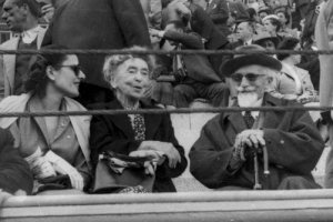 Publico taurino