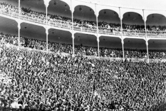 TOROS - PUBLICO