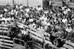 TOROS - PUBLICO