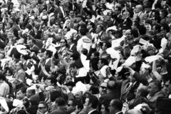 TOROS - PUBLICO