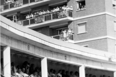 TOROS - PUBLICO