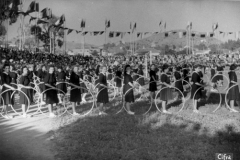 POLITICA INTERIOR - SECCION FEMENINA