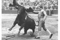 Imagen-de-Antonio-Bienvenida